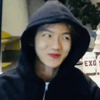 🌻 EXO kpop, exo, 음악, 후드티, 아시아, 가수 telegram sticker