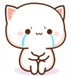 😢 chat, triste, pleurs, kawaii, mignon, autocollant, chat blanc whatsapp sticker