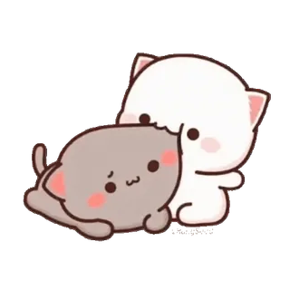 ❤️ 猫, 可爱, 卡哇伊, 蜜桃猫和Goma, 动物 whatsapp sticker