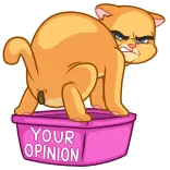 💩