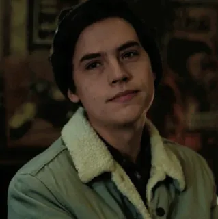 💸 Jughead Jones Riverdale teen drama, tv show, Jughead, Riverdale, Cole Sprouse telegram sticker