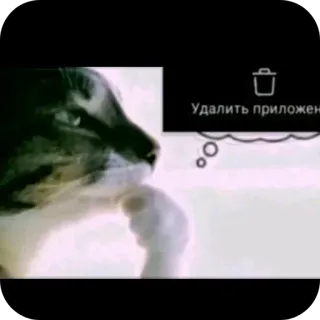 Больше стиков тут: @stikery4 telegram stickers