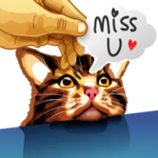 😘 Miss U❤️ кот, пропавший, любовь, питомец, милый, животное, наклейка whatsapp sticker