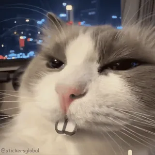 🤓 telegram sticker