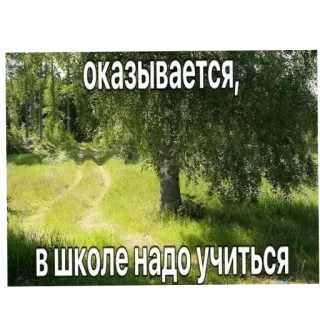 🌲 оказывается, в школе надо учиться 러시아어, 텍스트, 밈, 학교, 공부 telegram sticker