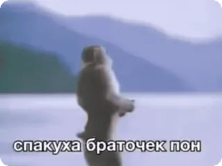 🌟 спакуха браточек пон whatsapp sticker