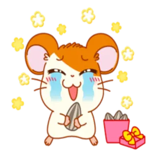😅 chuột hamster, khóc, nước mắt, dễ thương, kawaii, hoạt hình, động vật, vui vẻ telegram sticker