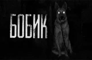 🦮 БОБИК Hund, Tier, Dunkel, Russisch, Haustier, Text, Nacht whatsapp sticker