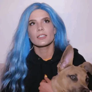 💧 Halsey Sänger, blaue Haare, Hund, Promi, Porträt, Frau telegram sticker