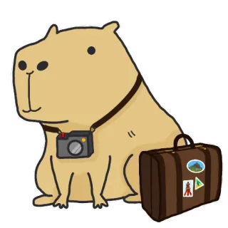 🧳 capivara, animal, fofo, viagem, mala, câmera telegram sticker