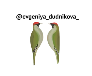😘 @evgeniya_dudnikova_ telegram sticker