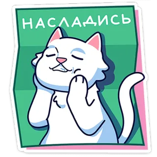 🐾 НАСЛАДИСЬ gato, disfrutar, satisfecho, contento, gato blanco, complacido whatsapp sticker