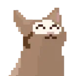 😾