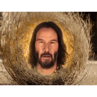 🔮 Keanu Reeves คีอานู รีฟส์, ต้นกลิ้ง, นักแสดง whatsapp sticker