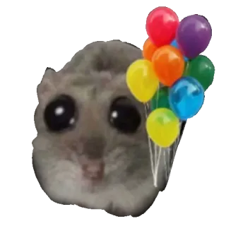 🎈 Japanese dwarf flying squirrel squirrel, momonga, cute, balloons, celebration, animal, furry telegram sticker