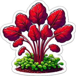 🌱 barbabietola, verdura, pianta, adesivo, foglie, giardino whatsapp sticker