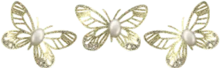 @gifsandimages  🦋Butterfly🦋 — @stckrRobot telegram stickers