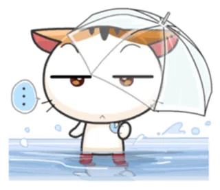 ☔️ gato, paraguas, lluvia, dibujo animado, lindo, animal, pegatina telegram sticker