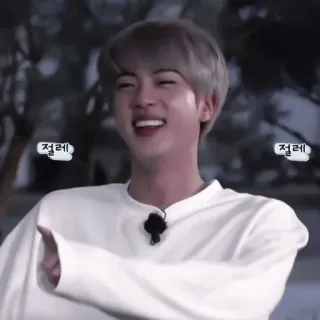 🌟 Jin 절레 K-pop, cantante, coreano, uomo, celebrità, ride telegram sticker