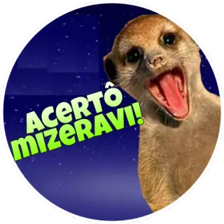 👍 ACERTO MIZERAVI! suricate, animal, adesivo, gíria, engraçado, meme telegram sticker