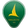 🇸🇦
