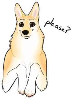 🙂 please? anjing, corgi, imut, memohon, mengemis, hewan telegram sticker