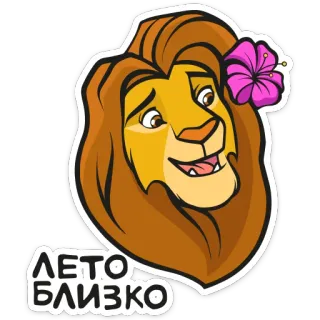 👩 ЛЕТО БЛИЗКО лев, цветок, лето, животное, мультфильм, наклейка whatsapp sticker