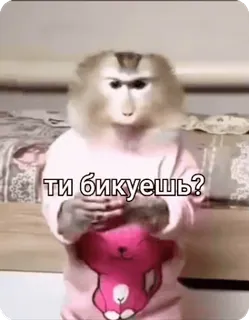 🌟 ти бикуешь? khỉ, động vật, hài hước, meme, chữ, câu hỏi telegram sticker