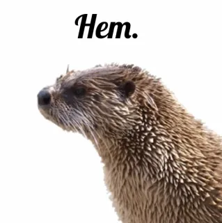 👎 Hem. otter, animal, cute, mammal telegram sticker