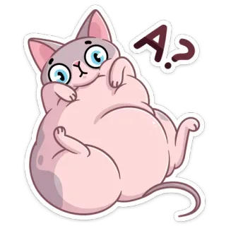 ❓ A.? gatto, adesivo, cartone animato, carino, animale telegram sticker