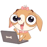 💻 Hund, Cartoon, Computer, Tier, süß whatsapp sticker