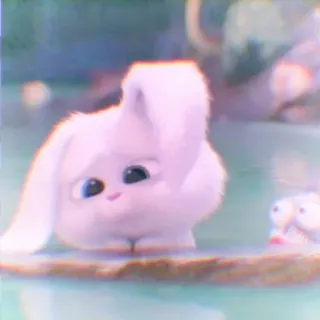 🐰 Snowball The Secret Life of Pets kelinci, imut, kartun, hewan, peliharaan, putih, halus, lembut telegram sticker
