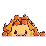 Свинцент @TgSticker telegram stickers
