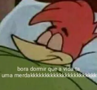 🤣 bora dormir que a vida ta uma merdakkkkkkkkkkkkkkkkkkkkkkk Sonno, Meme, Divertente, Picchio, Cartone animato whatsapp sticker