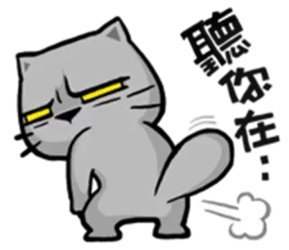 💨 katze, furz, lustig, tier, cartoon, aufkleber, humor whatsapp sticker