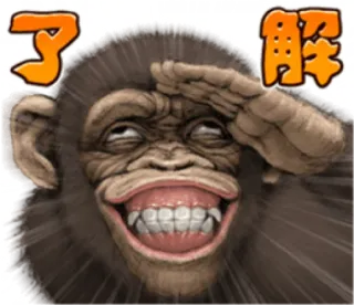 🐵 了解 monyet, binatang, ekspresi, jepang, teks, ok telegram sticker