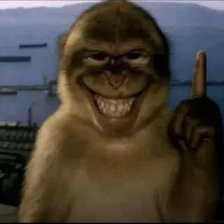 😈 monkey, ape, smiling, pointing, meme, funny, grin telegram sticker