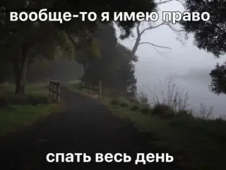🙄 вообще-то я имею право
спать весь день Schlaf, Tag, Ruhe, faul, Text, Pfad, Wald telegram sticker