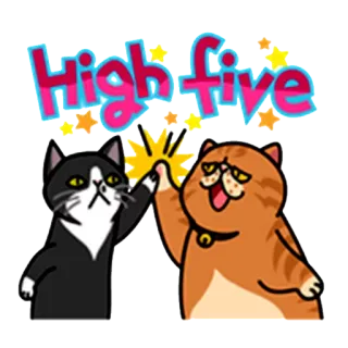 😌 High five кошки, дай пять, милые, животные, дружба, праздник whatsapp sticker
