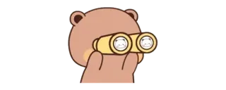 🥐 bear, binoculars, cartoon, animal, cute telegram sticker