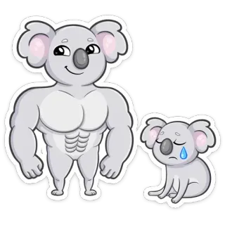 💪 коала, мускулы, грустный, мультфильм, животное, сильный, эмоциональный telegram sticker