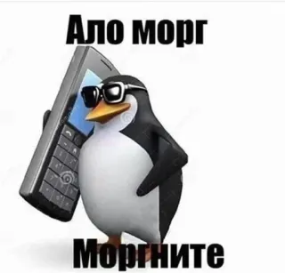 😐 Алло морг Моргните pinguin, sonnenbrille, telefon, leichenhalle, humor, russisch telegram sticker