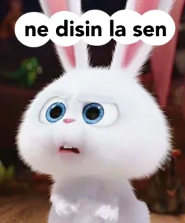 🤨 ne disin la sen 토끼, 바니, 하얀색, 동물, 만화, 귀여운 whatsapp sticker