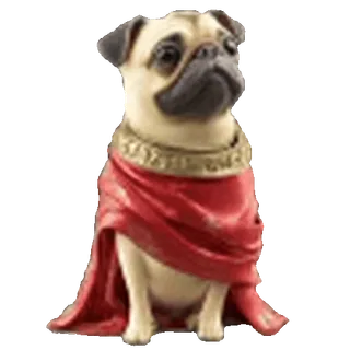🐶