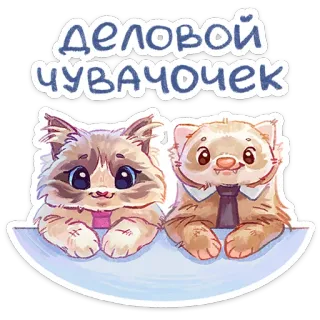 ⭐ Деловой чувачочек gato, furão, animais, fofo, negócios, desenho animado, gravata telegram sticker