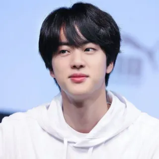 🐹 Jin kpop, ca sĩ, nam, hàn quốc, người nổi tiếng, nghệ sĩ telegram sticker