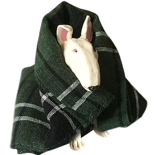 ⛄ bull terrier, dog, plaid, animal, pet telegram sticker