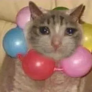 🐱 猫, 動物, ペット, 悲しい, 風船, 泣く telegram sticker