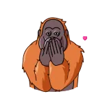 😘 orangutan, monyet, binatang, lucu, imut, primata whatsapp sticker