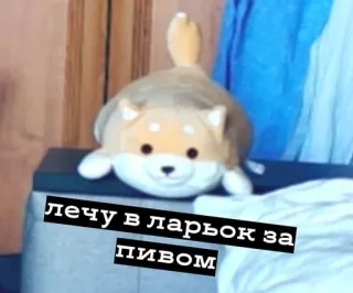 🍷 лечу в ларьок за пивом chien, peluche, texte, drôle, animal, animal domestique whatsapp sticker